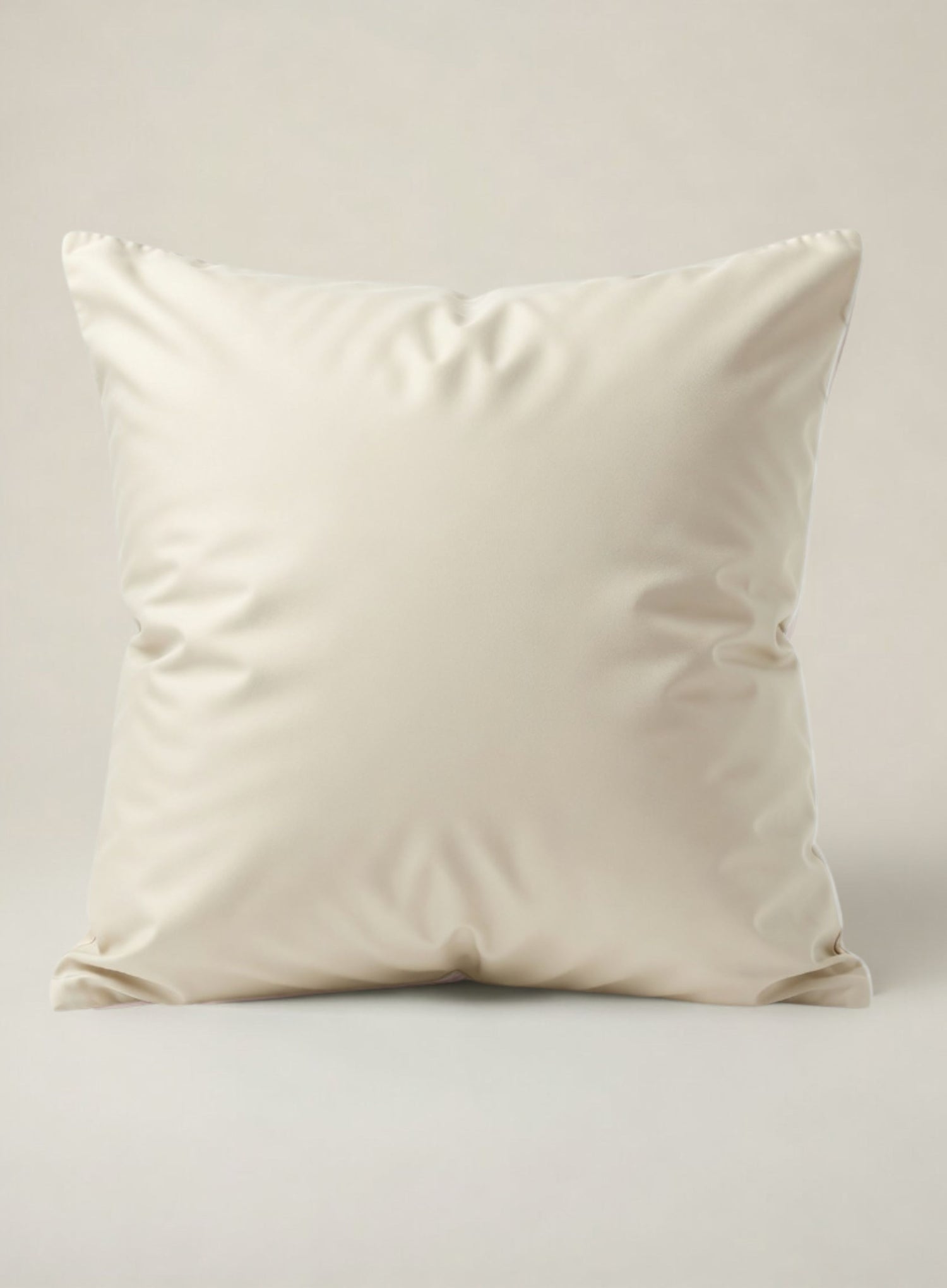 product photo of a Winter White organic House of March Euro Pillowcase